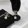 Earring accessories